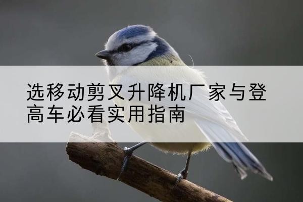 梅江电动升降机厂家-选移动剪叉升降机厂家与登高车必看实用指南