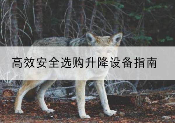 梅江升降货梯厂家推荐-*安全选购升降设备指南